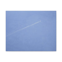 To the Sky - Canvas Print
