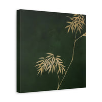 Elegant Bamboo -  Canvas Print