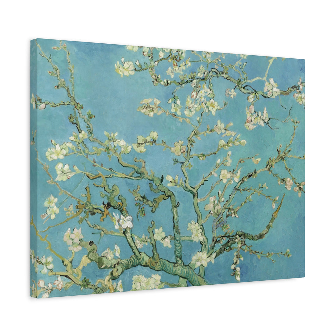 Almond Blossom - Van Gogh - Canvas Print