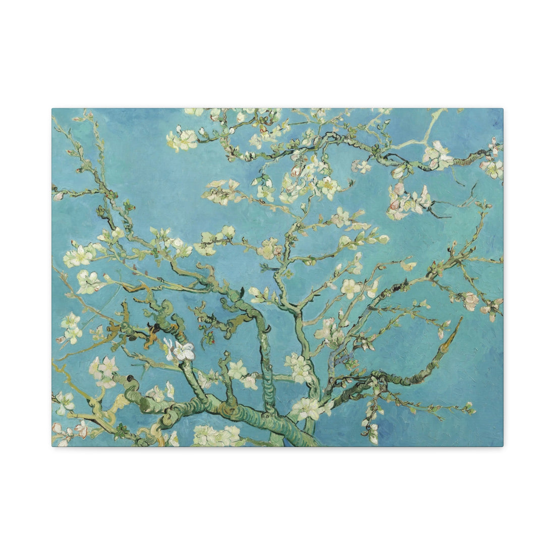 Almond Blossom - Van Gogh - Canvas Print