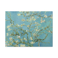Almond Blossom - Van Gogh - Canvas Print