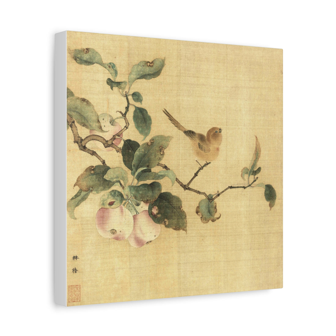 Fruits and Bird -  Chun Lin - Canvas Print