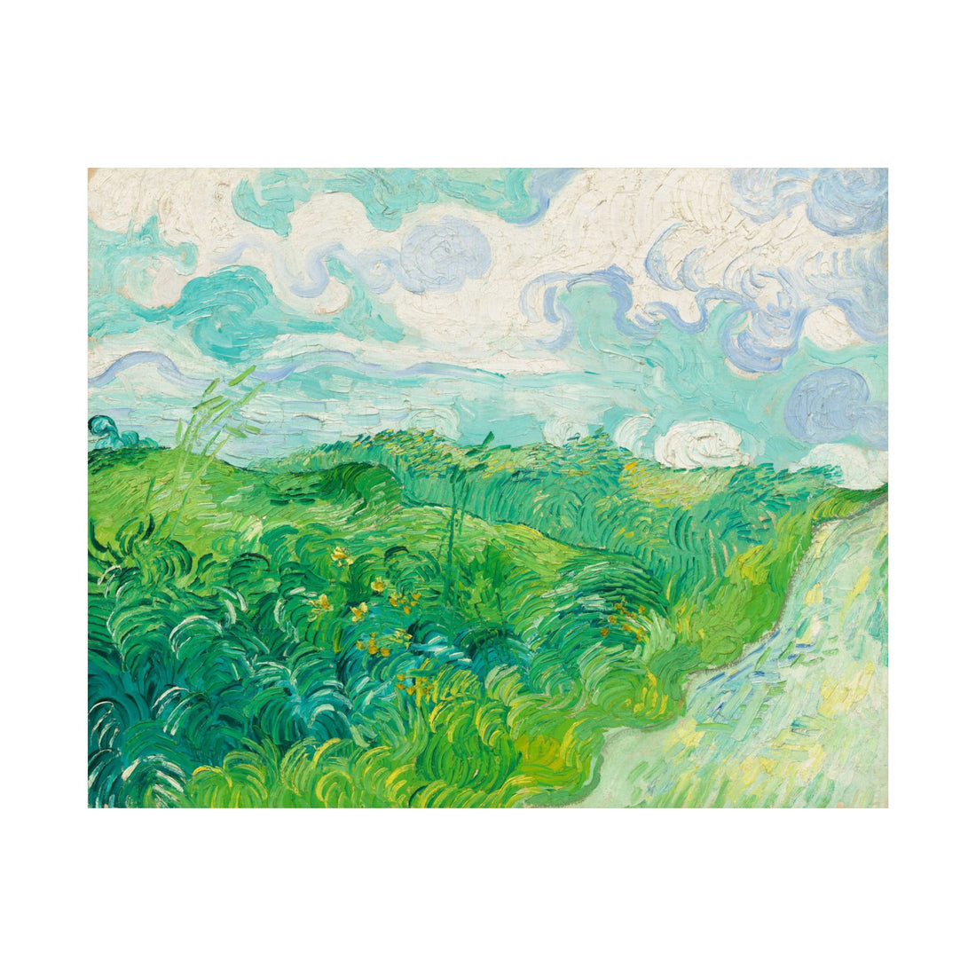 Green Wheat Fields, Auvers -Van Gogh - Poster