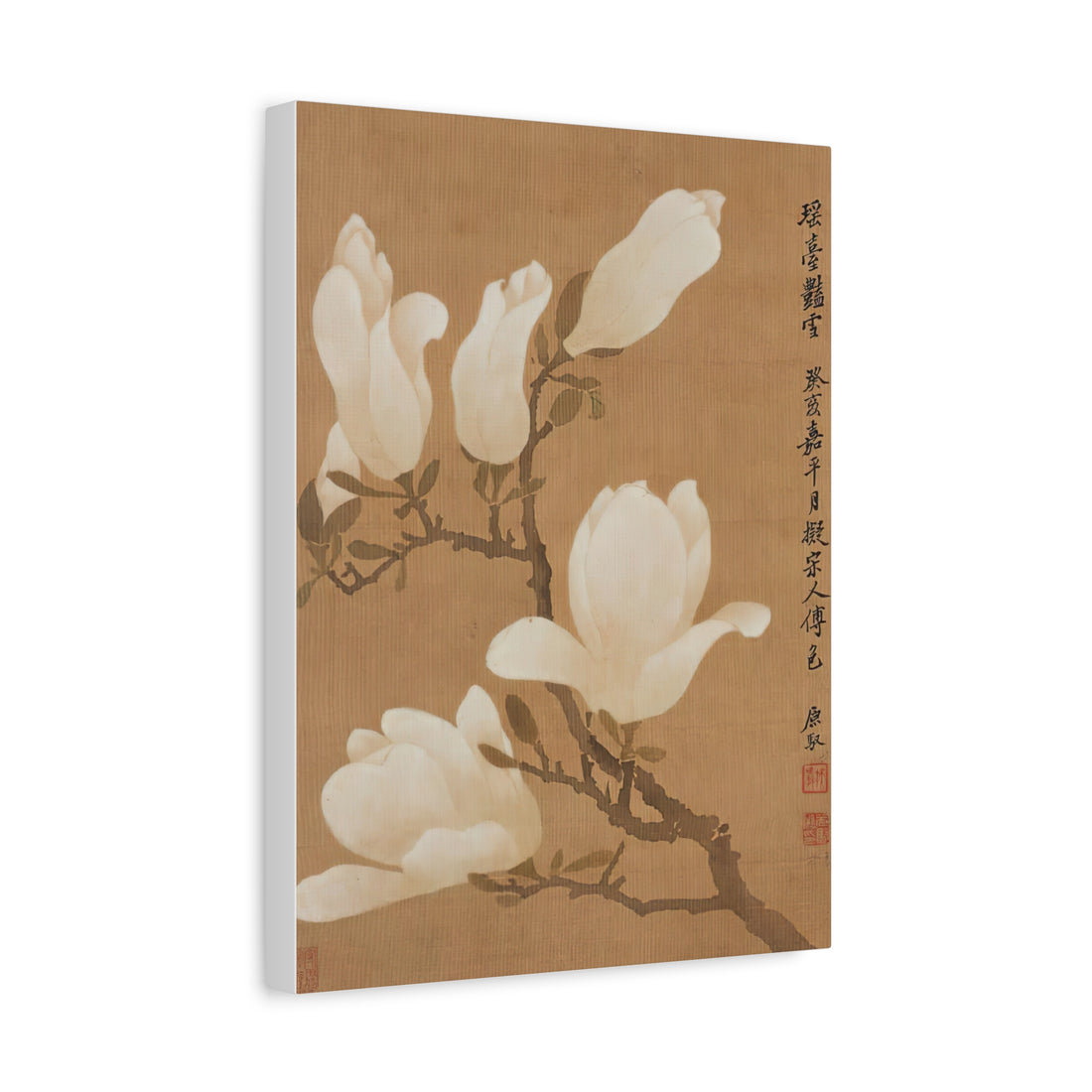 Yulan Magnolia - Canvas Print