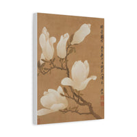 Yulan Magnolia - Canvas Print