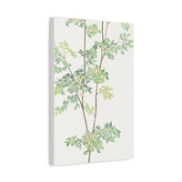 Full of Greenery - Canvas Print