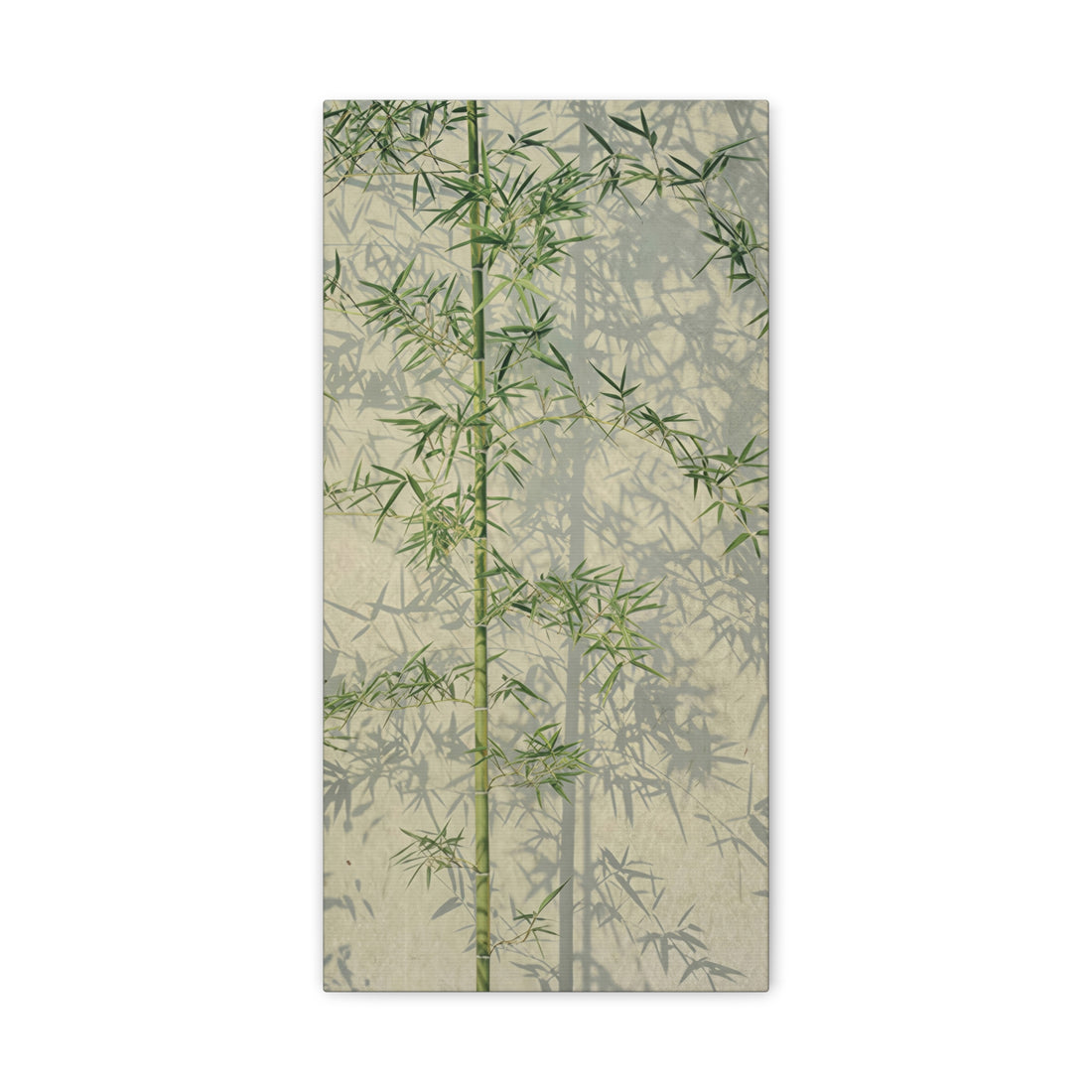 Bamboo Shadow - Canvas Print