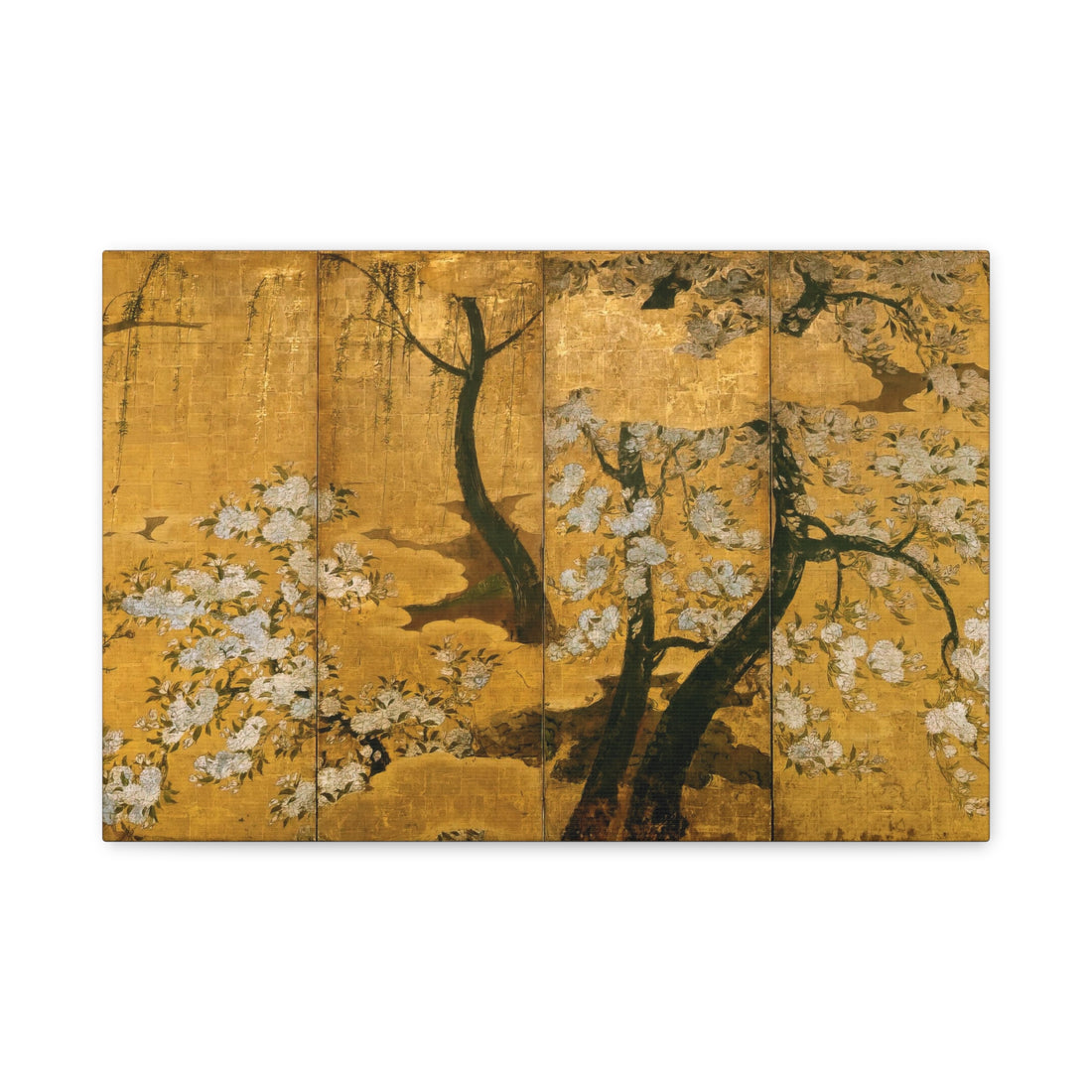 Cherry Blossom - Canvas Print
