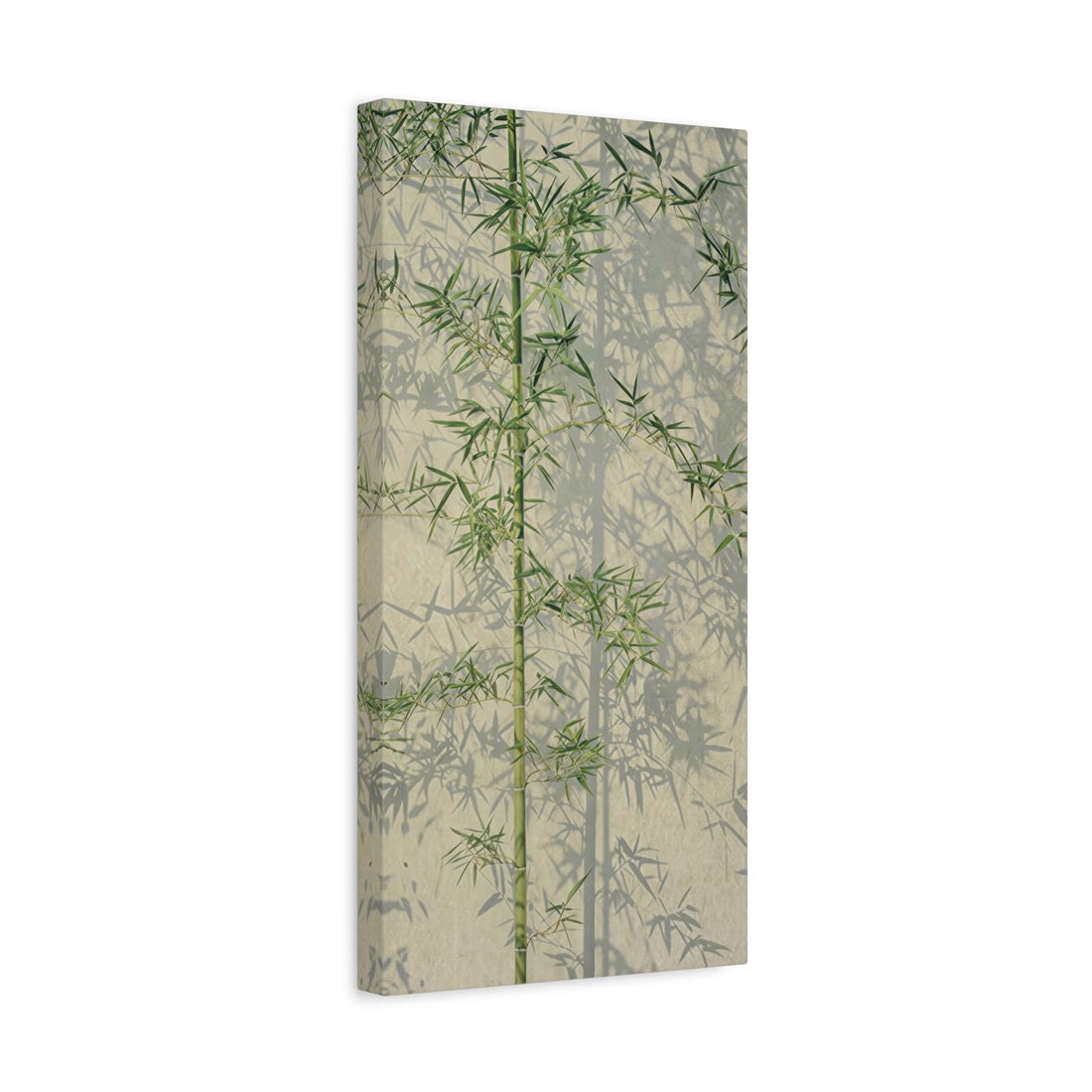 Bamboo Shadow - Canvas Print
