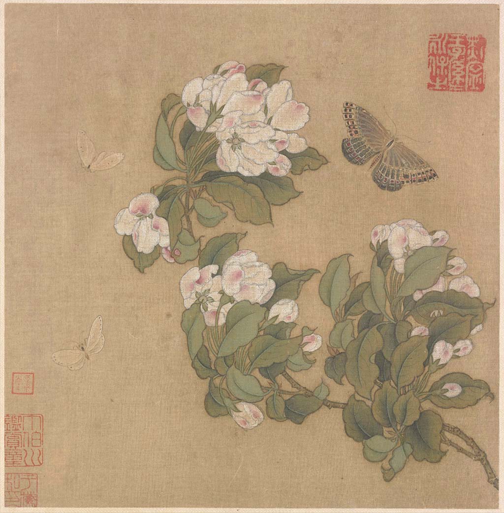 Haitang and Butterfly