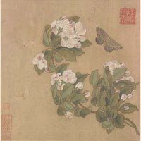 Haitang and Butterfly