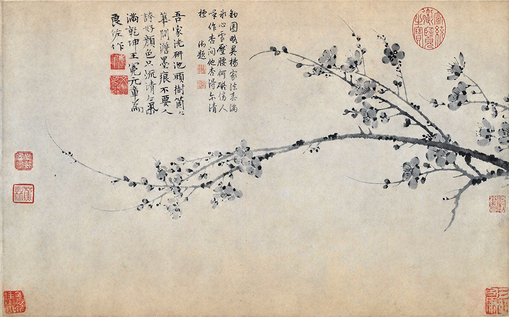 Plum Blossom Painting - by Mian Wang