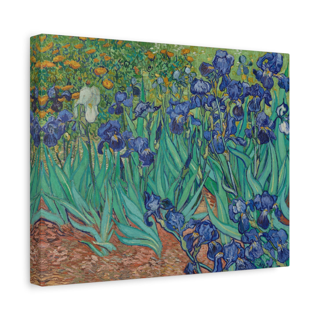 Van Gogh - Irises - Canvas Print