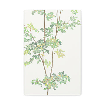 Full of Greenery - Canvas Print