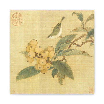 Loquats and Bird - Chun Lin - Canvas Print