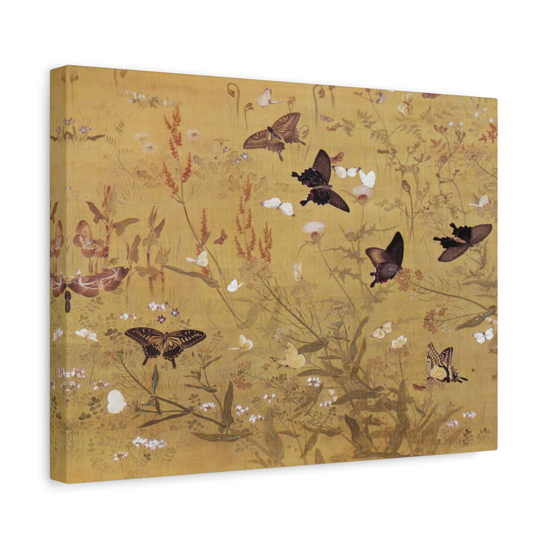 Butterfly Garden - Canvas Print