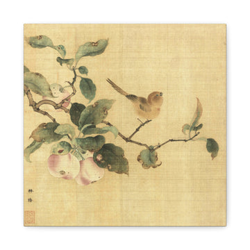 Fruits and Bird -  Chun Lin - Canvas Print