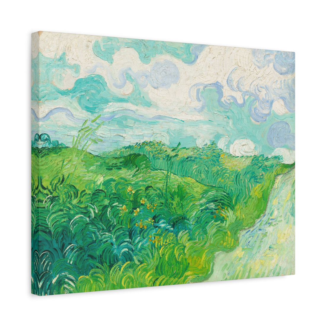 Green Wheat Fields, Auvers -Van Gogh - Canvas Print