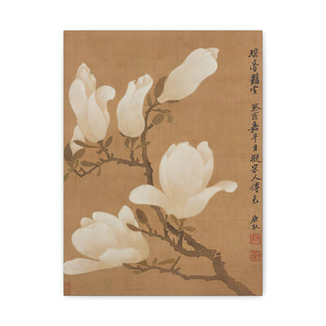 Yulan Magnolia - Canvas Print