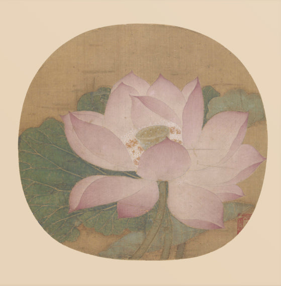 A Lotus Flower Coming out of the Water - Bing Wu