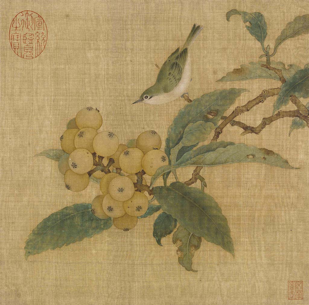 Loquats and Bird - by Chun Lin