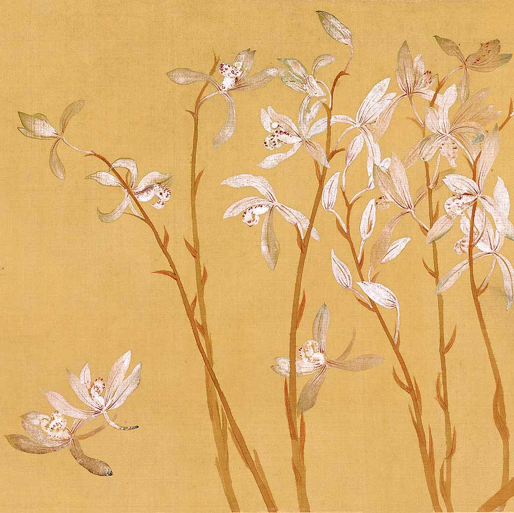 Orchid - by Shouping Yun