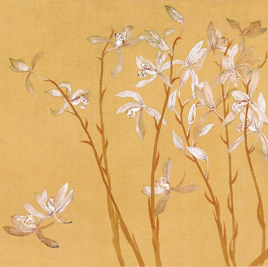 Orchid - by Shouping Yun