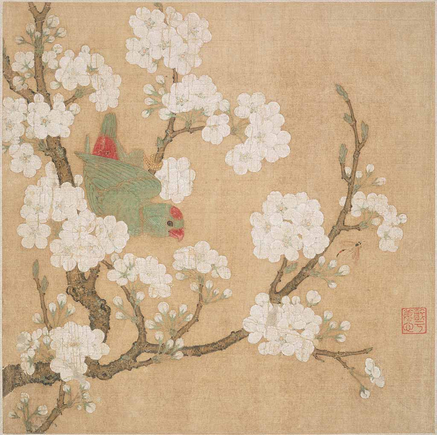 Parrot in Pear Blossoms