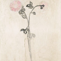 Two Pink Chrysanthemums in a Clear Vase - by Sanyu