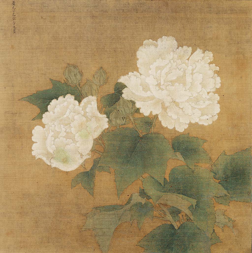 White Furong - by Di Li